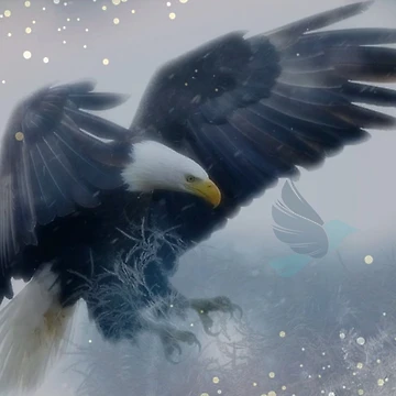 Artwork thumbnail, Eagle by Raju2018