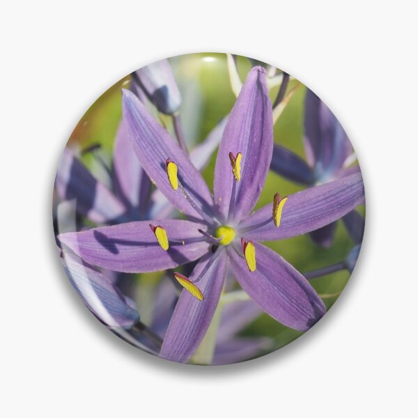 Item preview, Beautiful violet common camas (Camassia quamash ssp. breviflora) flower designed and sold by SDym Photography.