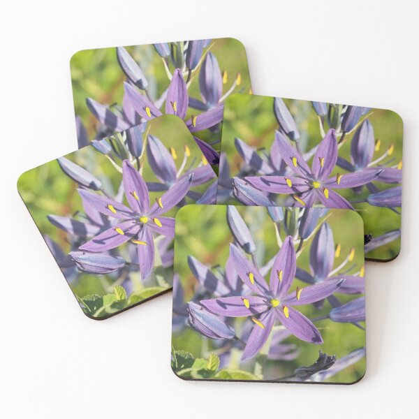Item preview, Beautiful violet common camas (Camassia quamash ssp. breviflora) flower designed and sold by SDym Photography.