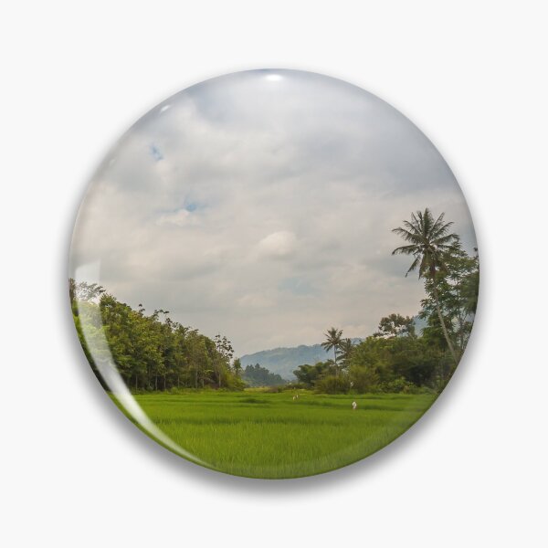 Item preview, A lush green rice paddy on the island of samosir, Lake Toba, Sumatra, Indonesia designed and sold by SnapTPhotograph.