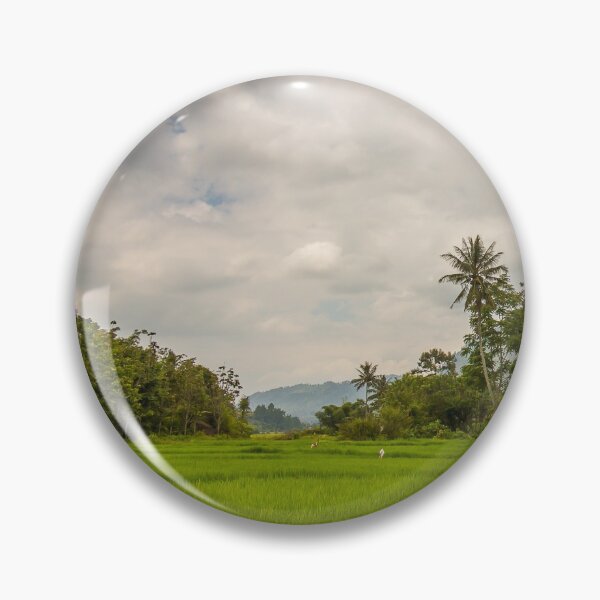 Item preview, Palm trees and rice paddy on Samosir Island, Lake Toba, Sumatra, Indonesia designed and sold by SnapTPhotograph.