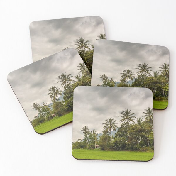 Item preview, Palm trees and rice paddy on Samosir Island, Lake Toba, Sumatra, Indonesia designed and sold by SnapTPhotograph.