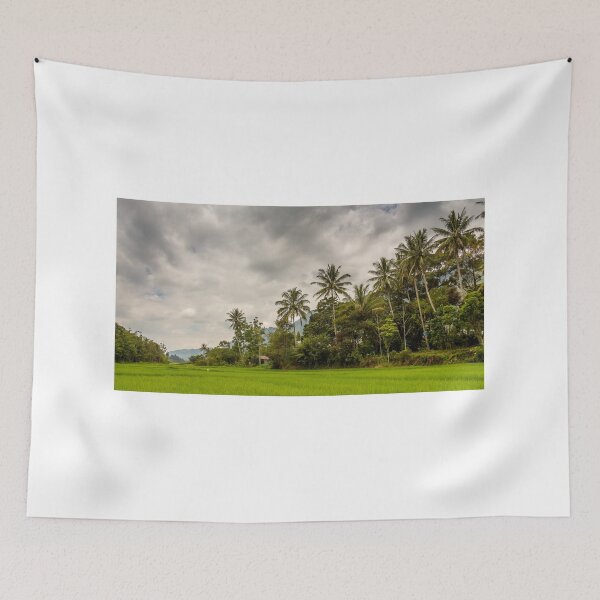 Item preview, Palm trees and rice paddy on Samosir Island, Lake Toba, Sumatra, Indonesia designed and sold by SnapTPhotograph.