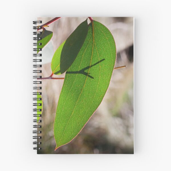 Item preview, Leaf Glow designed and sold by LP-Images.