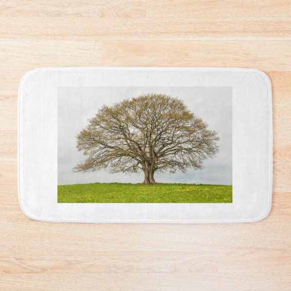 Item preview, Westerwald double-English oak in spring designed and sold by Ingo Gerlach.