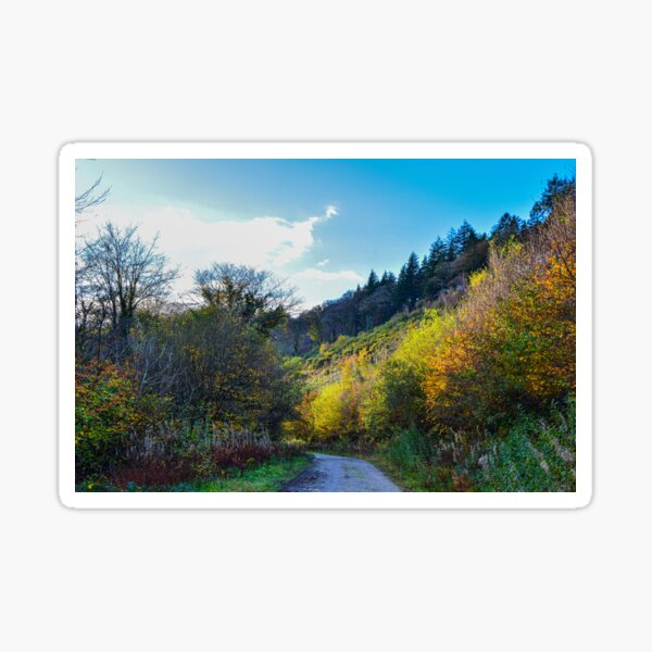 "Cornish forest in autumn " Sticker by DobbosPhotog Redbubble