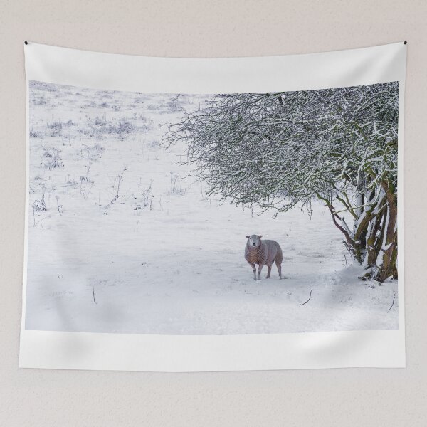 Item preview, The Lonely Sheep designed and sold by richardpinder.