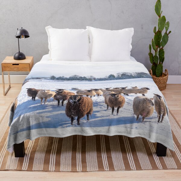 Item preview, Sheep in Winter designed and sold by richardpinder.