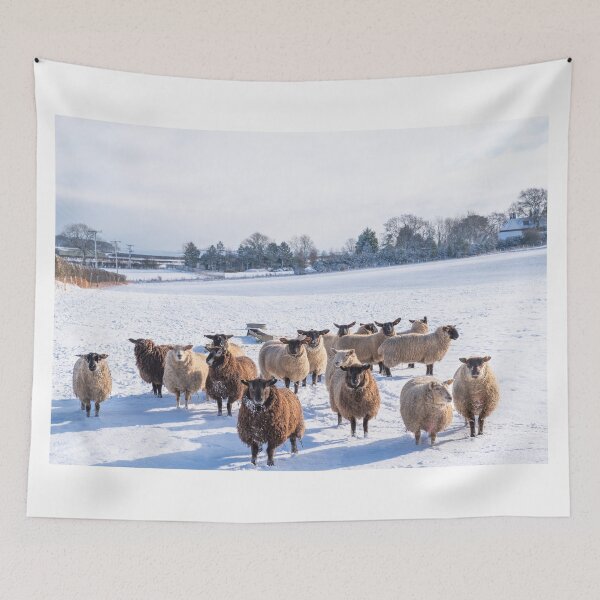 Item preview, Sheep in Winter designed and sold by richardpinder.