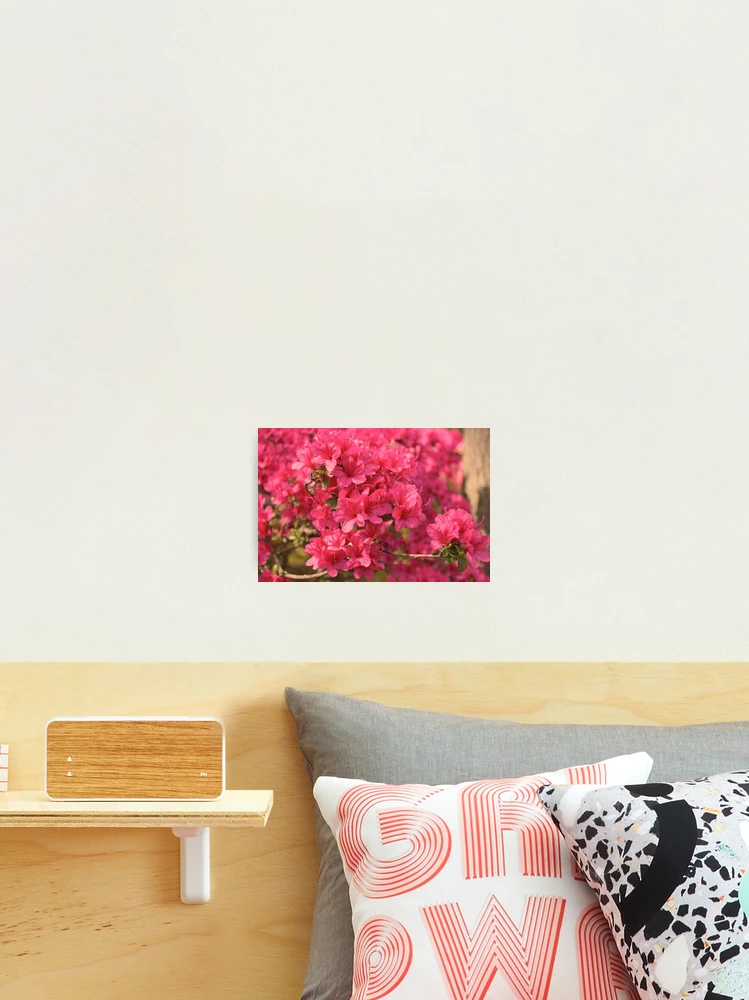 Thumbnail 2 of 3, Photographic Print, Spring Color designed and sold by Ramina-Nymph.