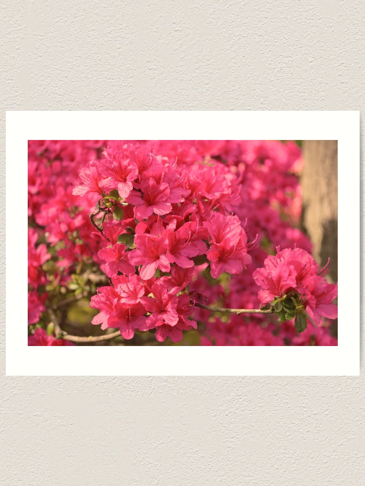 Thumbnail 1 of 3, Art Print, Spring Color designed and sold by Ramina-Nymph.