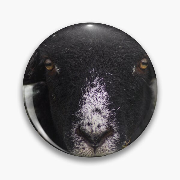 Item preview, Swaledale Sheep designed and sold by richardpinder.