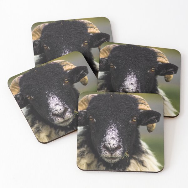 Item preview, Swaledale Sheep designed and sold by richardpinder.