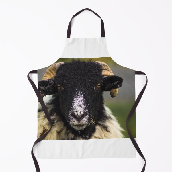 Item preview, Swaledale Sheep designed and sold by richardpinder.