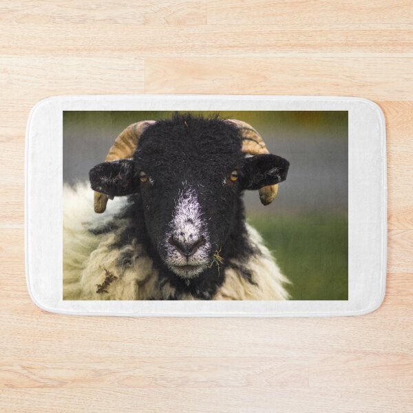 Item preview, Swaledale Sheep designed and sold by richardpinder.