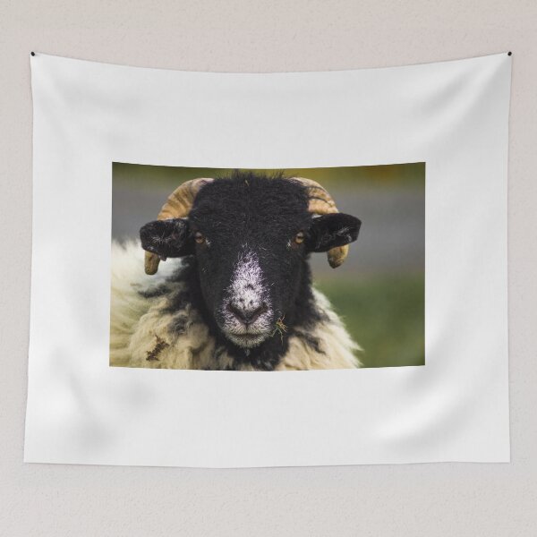 Item preview, Swaledale Sheep designed and sold by richardpinder.