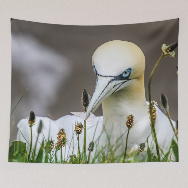 Item preview, bird of a feather designed and sold by AliMarleyPhoto.