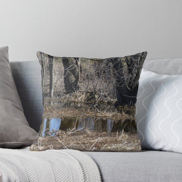 Item preview, Trunks in the rain water designed and sold by SRosuphotos.