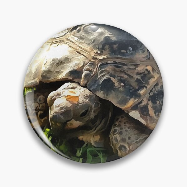Artikelvorschau, Wilde Schildkröte in Graswiese Wildlife Art entworfen und verkauft von taiche.