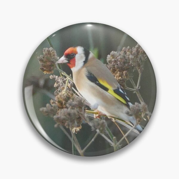 Item preview, Goldfinch designed and sold by pluspixels.