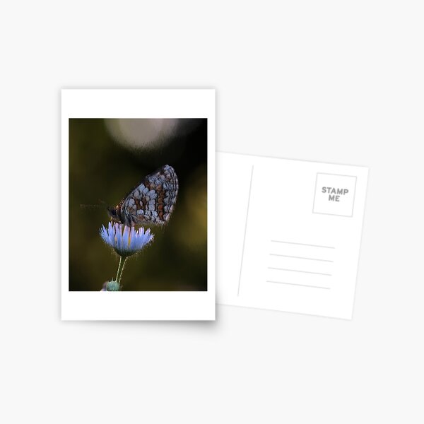 pixel art butterfly melting Postcard