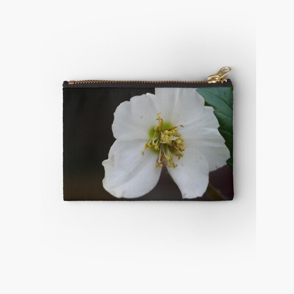 Item preview, White Hellebore  designed and sold by pluspixels.