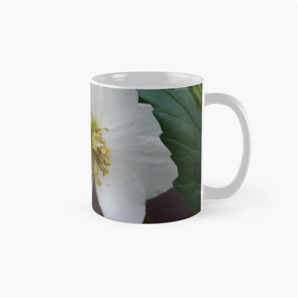 Item preview, White Hellebore  designed and sold by pluspixels.