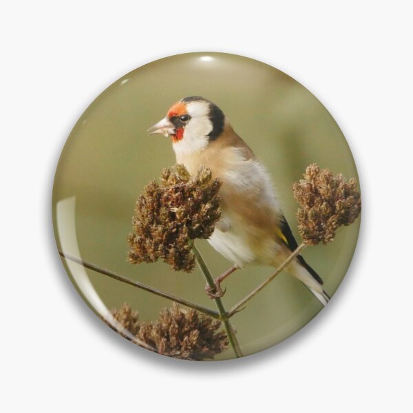 Item preview, Goldfinch  designed and sold by pluspixels.