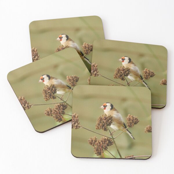 Item preview, Goldfinch  designed and sold by pluspixels.