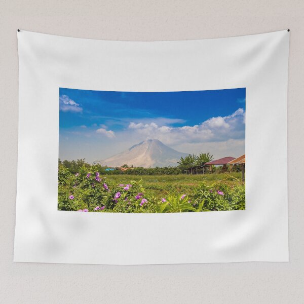 Item preview, A view of Mount Sinabung over agricultural land in North Sumatra, Indonesia designed and sold by SnapTPhotograph.