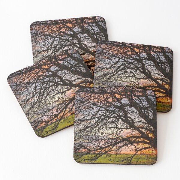 Item preview, Branching out designed and sold by JEZ22.