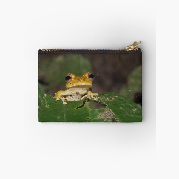 Item preview, Convict Tree Frog, Parque Nacional del Manu, Peru designed and sold by Erik Schlogl.