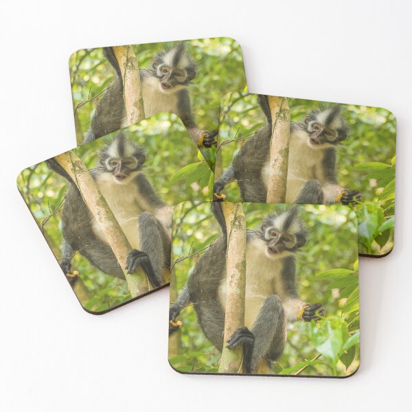 Item preview, A Thomas Langur, Leaf Monkey, feeding in a tree in Bukit Lawang, Indonesia designed and sold by SnapTPhotograph.