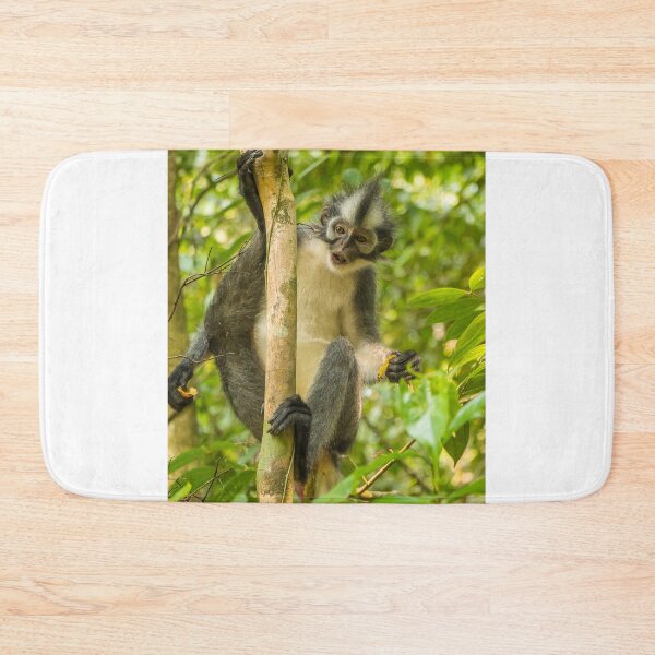 Item preview, A Thomas Langur, Leaf Monkey, feeding in a tree in Bukit Lawang, Indonesia designed and sold by SnapTPhotograph.
