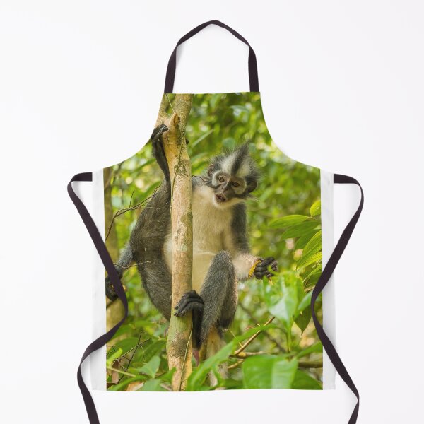 Item preview, A Thomas Langur, Leaf Monkey, feeding in a tree in Bukit Lawang, Indonesia designed and sold by SnapTPhotograph.