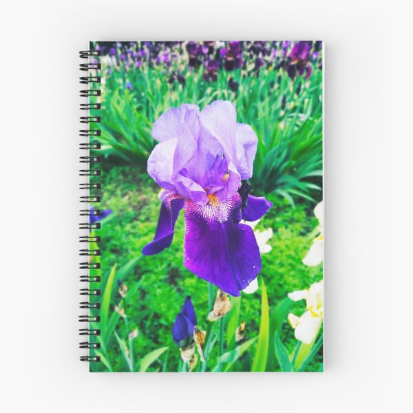 Item preview, Violet iris in blossom, natural perfection  designed and sold by helenkaiy.