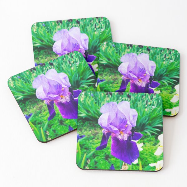Item preview, Violet iris in blossom, natural perfection  designed and sold by helenkaiy.