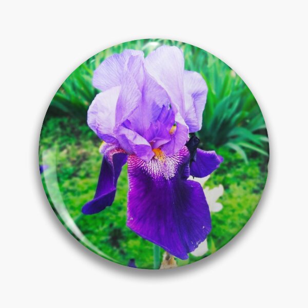 Item preview, Violet iris in blossom, natural perfection  designed and sold by helenkaiy.