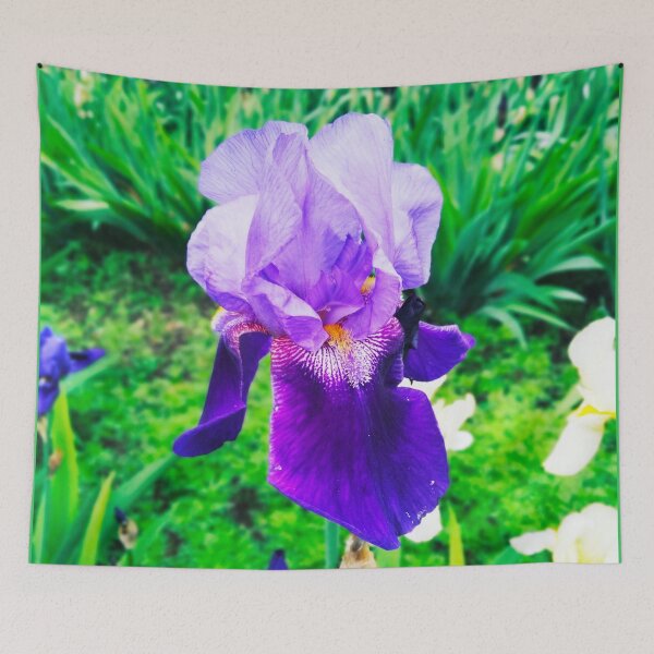 Item preview, Violet iris in blossom, natural perfection  designed and sold by helenkaiy.