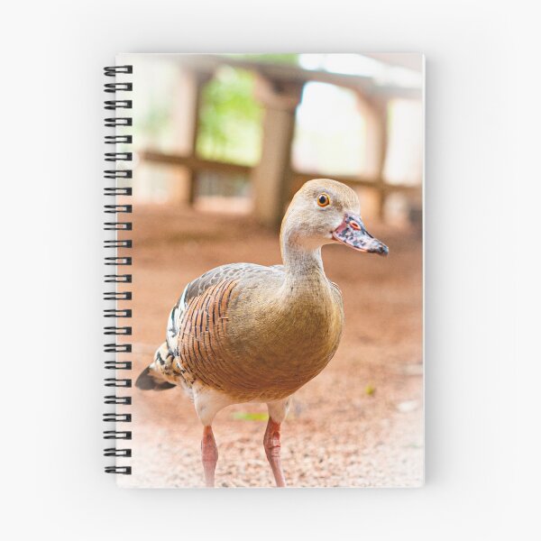 Item preview, cute duck designed and sold by william672.