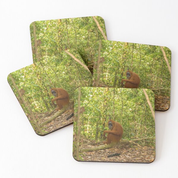Item preview, An orangutan sitting on a branch in Gungung Leuser National Park, Sumatra designed and sold by SnapTPhotograph.