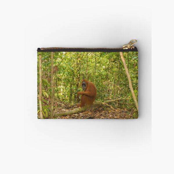 Item preview, An orangutan sitting on a branch in Gungung Leuser National Park, Sumatra designed and sold by SnapTPhotograph.