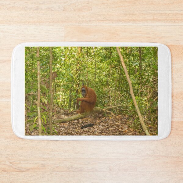 Item preview, An orangutan sitting on a branch in Gungung Leuser National Park, Sumatra designed and sold by SnapTPhotograph.