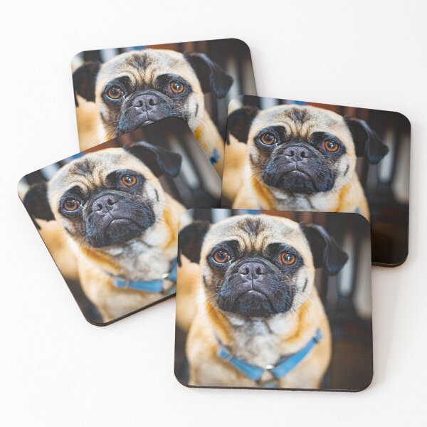 Item preview, pug1 designed and sold by william672.