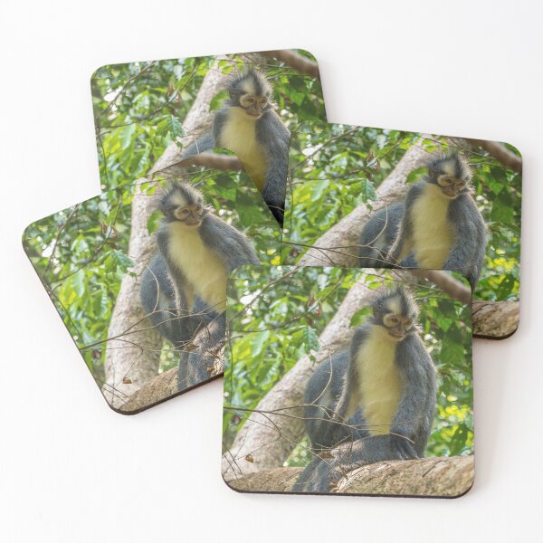Item preview, A Thomas Langur, Leaf Monkey, sitting in a tree in Bukit Lawang, Indonesia designed and sold by SnapTPhotograph.