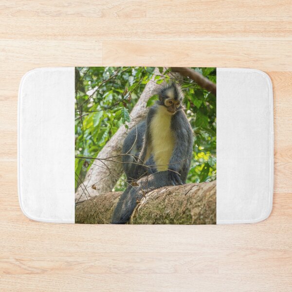 Item preview, A Thomas Langur, Leaf Monkey, sitting in a tree in Bukit Lawang, Indonesia designed and sold by SnapTPhotograph.