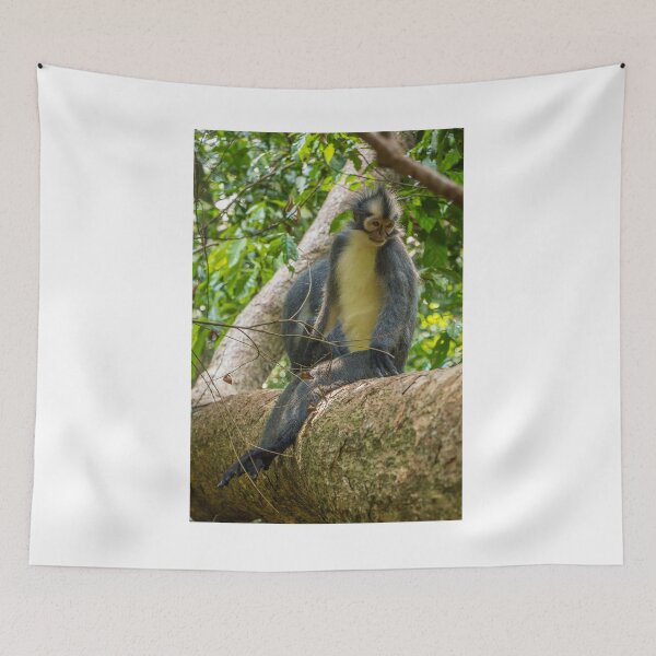 Item preview, A Thomas Langur, Leaf Monkey, sitting in a tree in Bukit Lawang, Indonesia designed and sold by SnapTPhotograph.