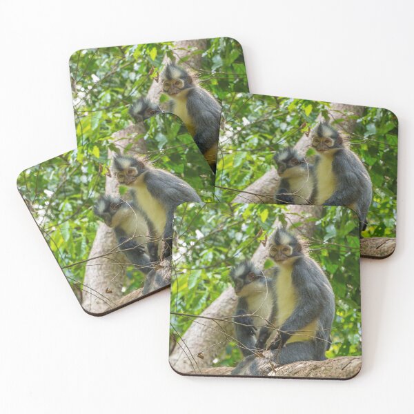 Item preview, A Thomas Langur, Leaf Monkey, feeding in a tree in Bukit Lawang, Indonesia designed and sold by SnapTPhotograph.