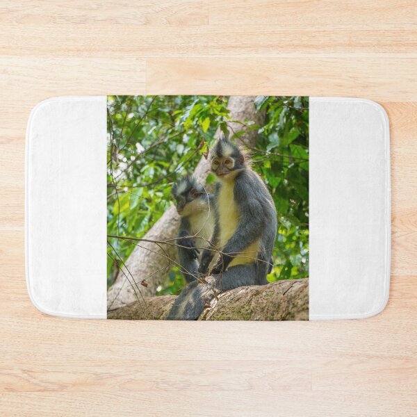Item preview, A Thomas Langur, Leaf Monkey, feeding in a tree in Bukit Lawang, Indonesia designed and sold by SnapTPhotograph.