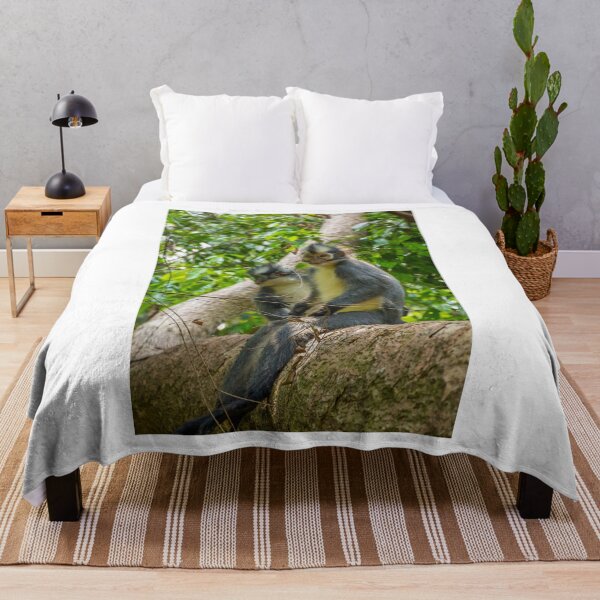 Item preview, A Thomas Langur, Leaf Monkey, feeding in a tree in Bukit Lawang, Indonesia designed and sold by SnapTPhotograph.